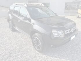 DUSTER
