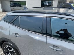 
										Peugeot 2008 full									