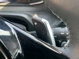 
										Peugeot 2008 full									