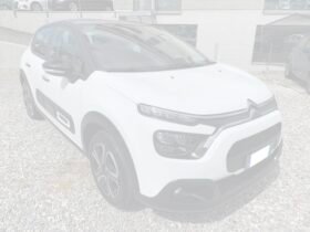Copia di Copia di citroen c3