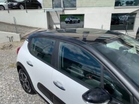 Copia di Copia di citroen c3