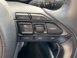 
										YARIS HYBRID full									