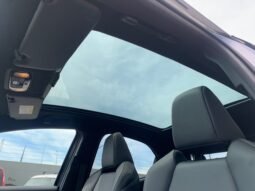 
										YARIS HYBRID full									