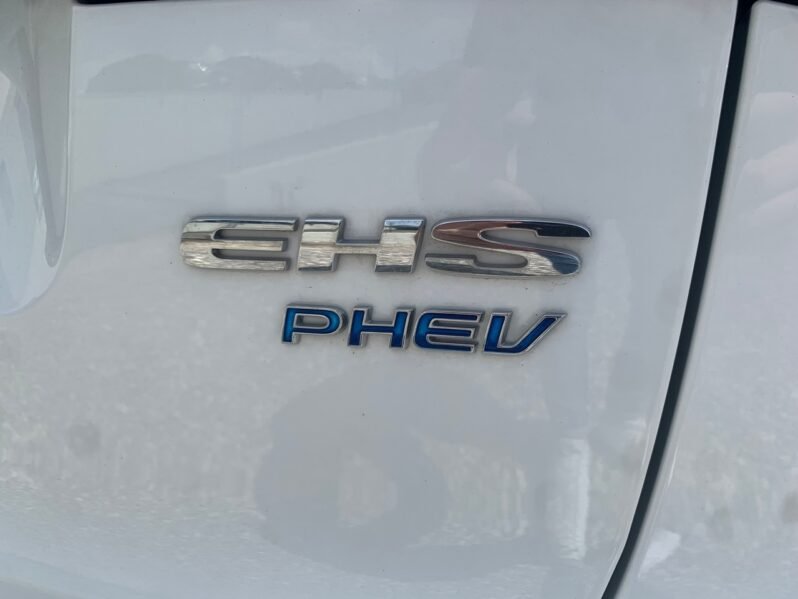 
								MG EHS full									